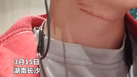 美丽云南微科普
