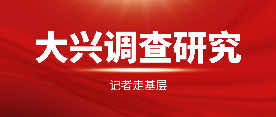 大理日报