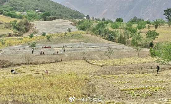 保山新闻网