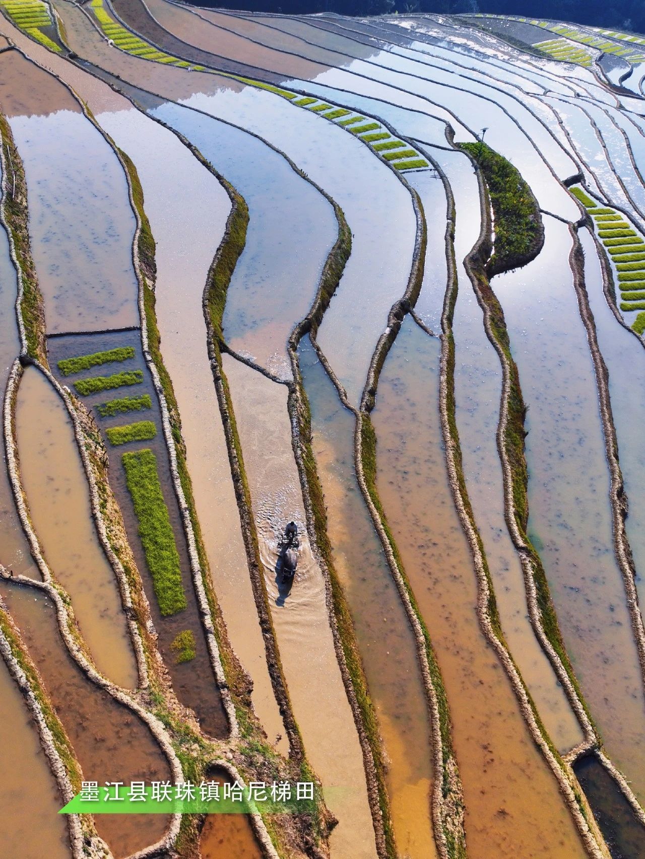 云南省文化和旅游厅