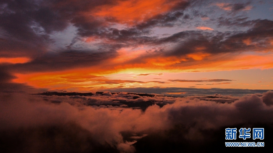 云南省文化和旅游厅