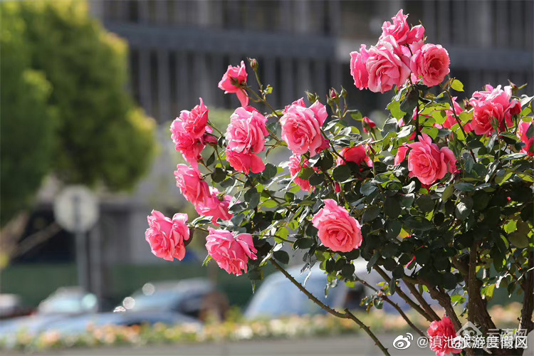 滇池旅游度假区
