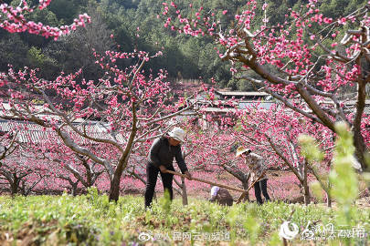 “云南发布”微博
