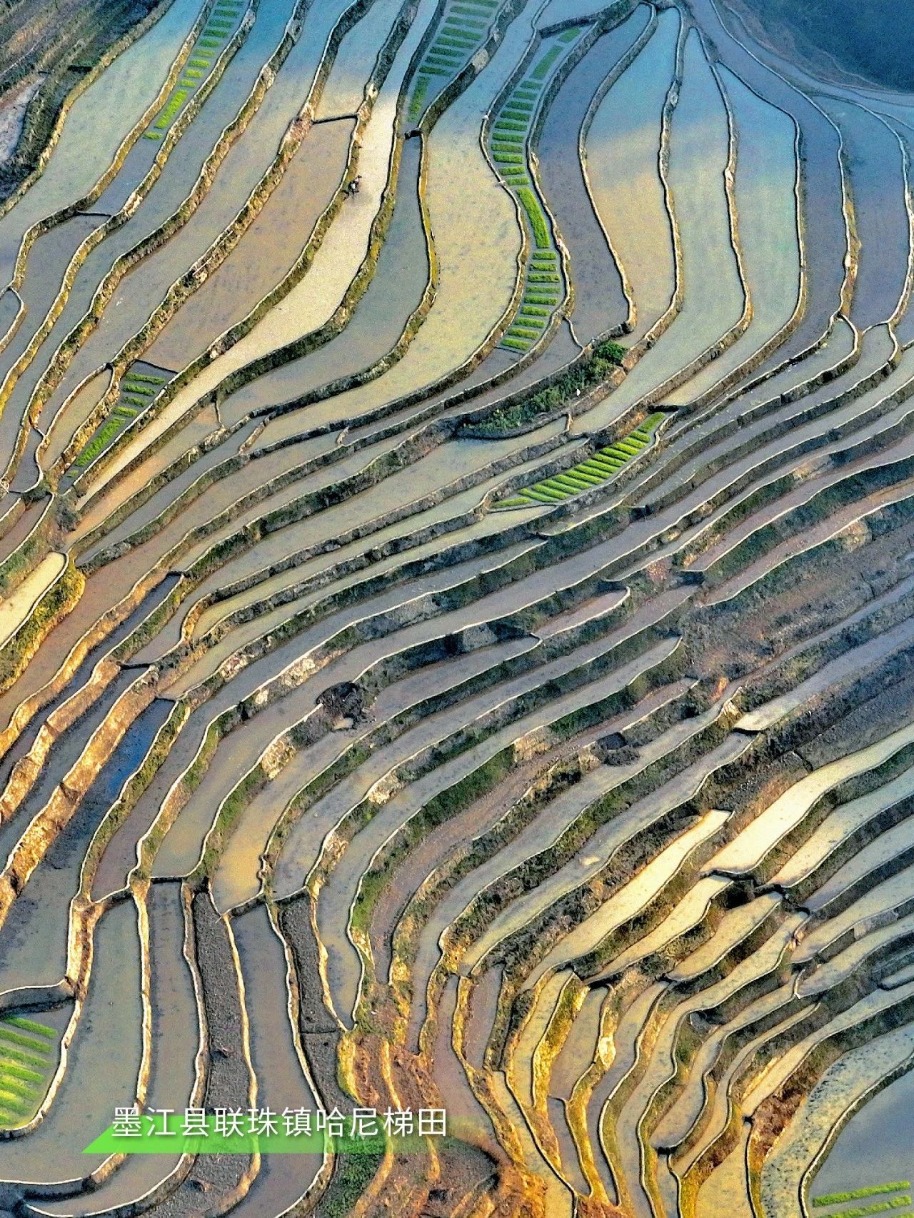 云南省文化和旅游厅