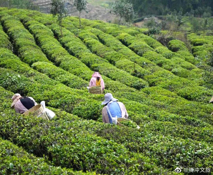 腾冲文旅