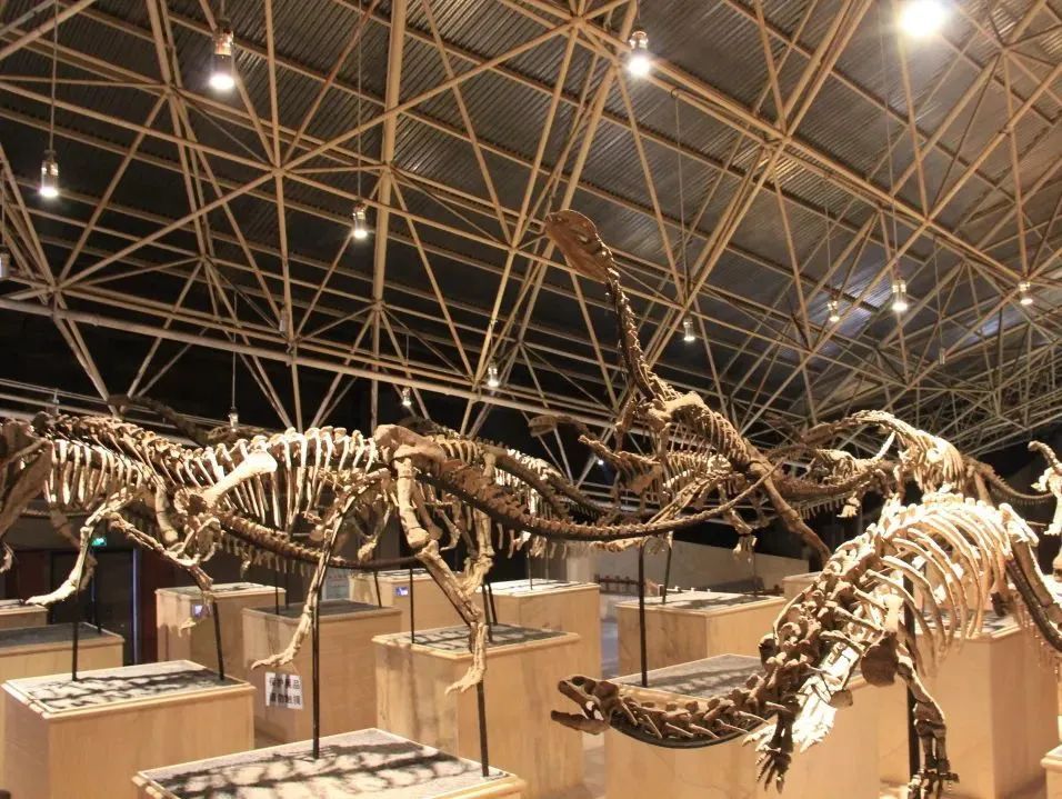 云南省文化和旅游厅