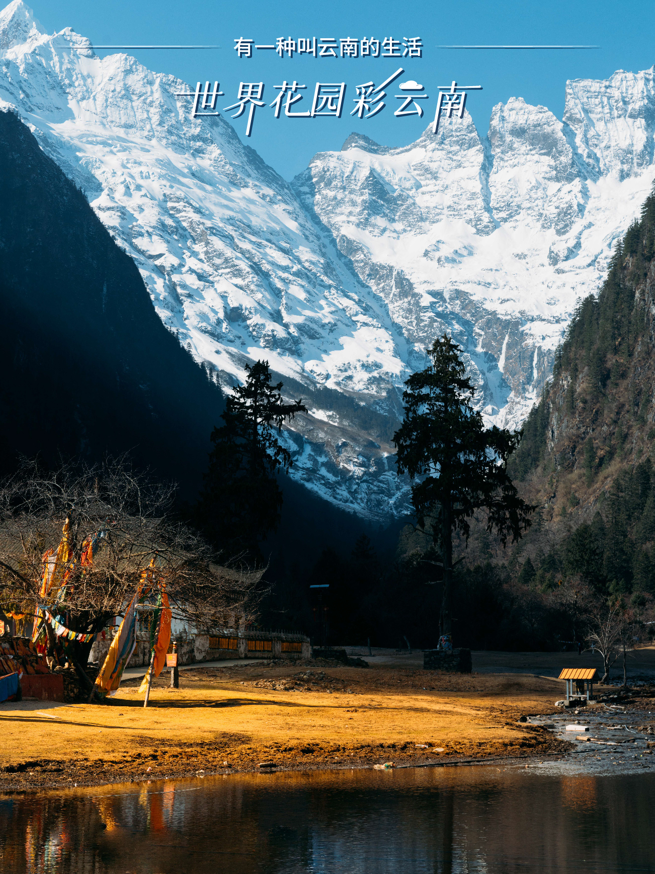 云南省文化和旅游厅