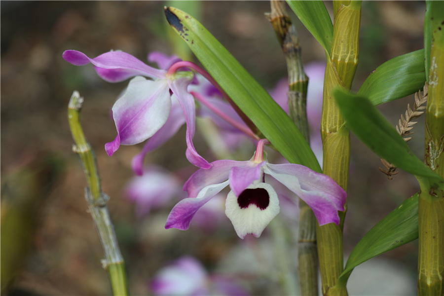 新华网云南频道