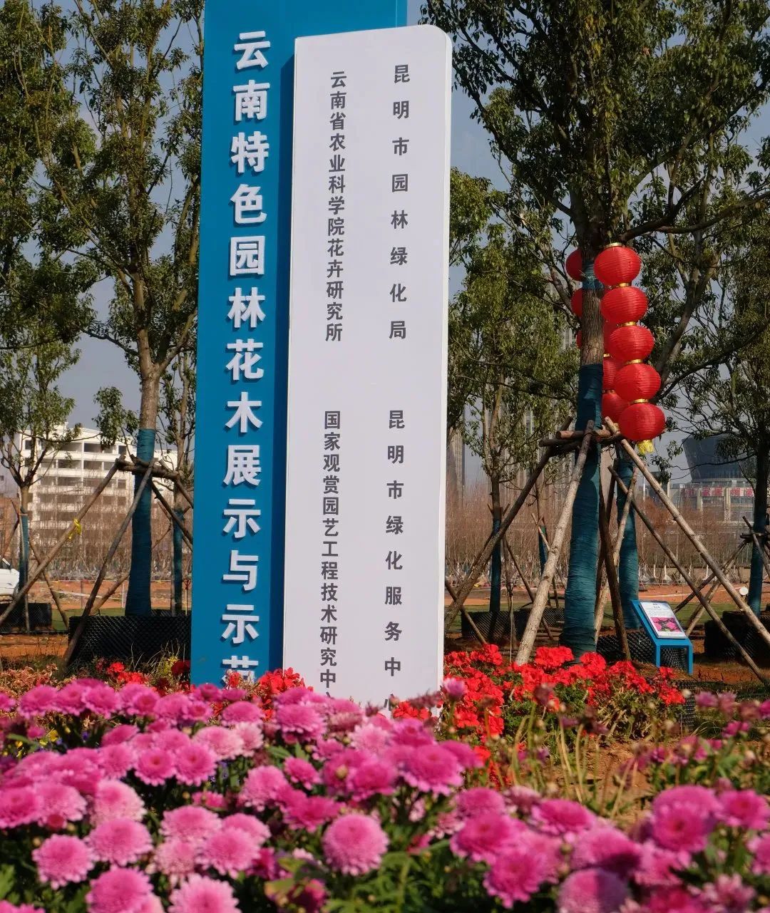 昆明西山发布