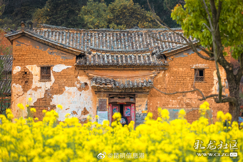 昆明信息港（微博）
