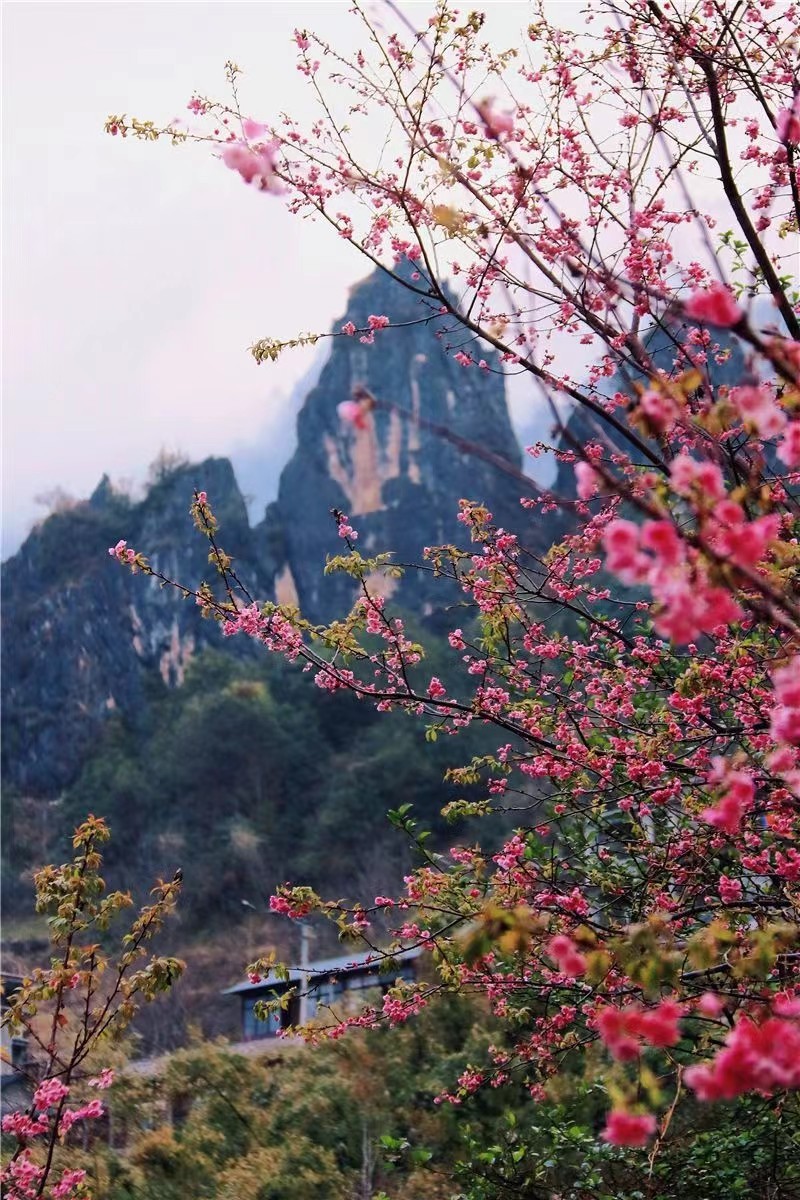 云南省文化和旅游厅