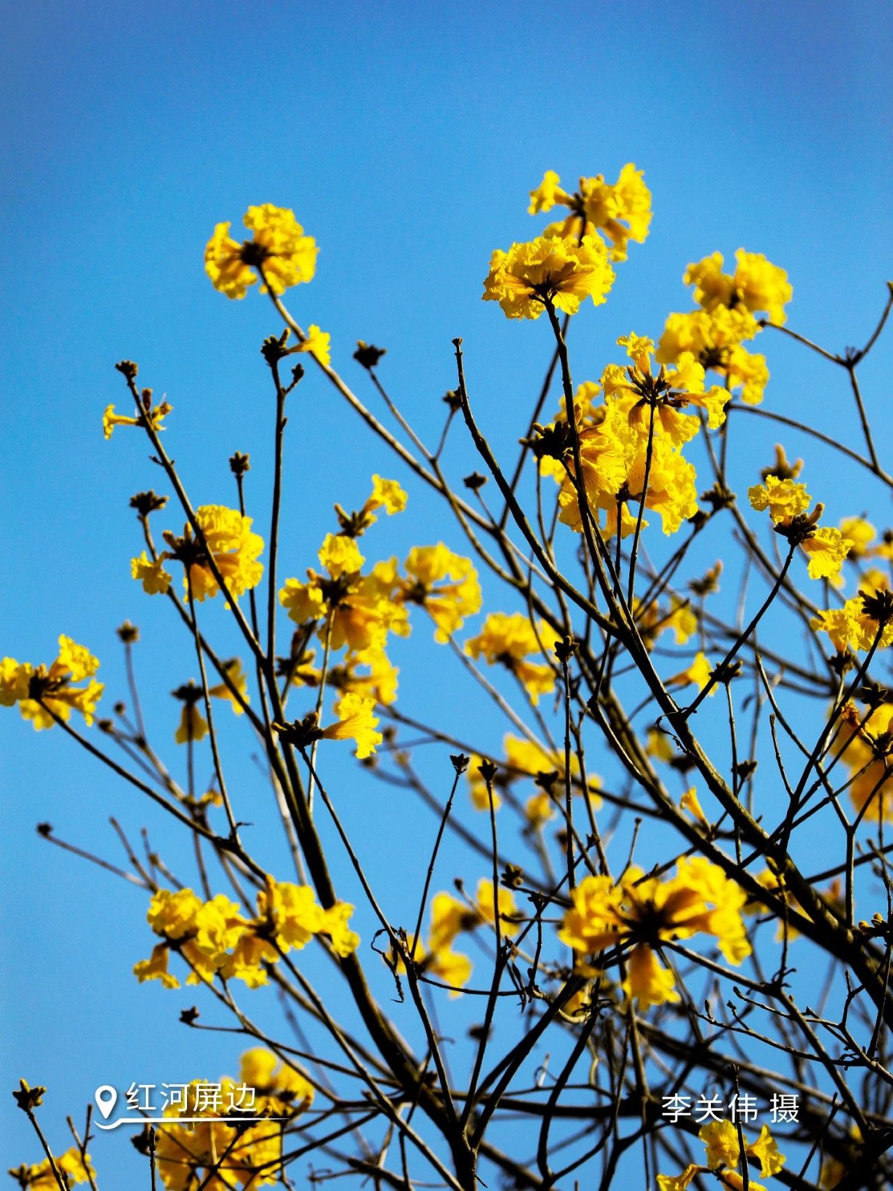 云南省文化和旅游厅