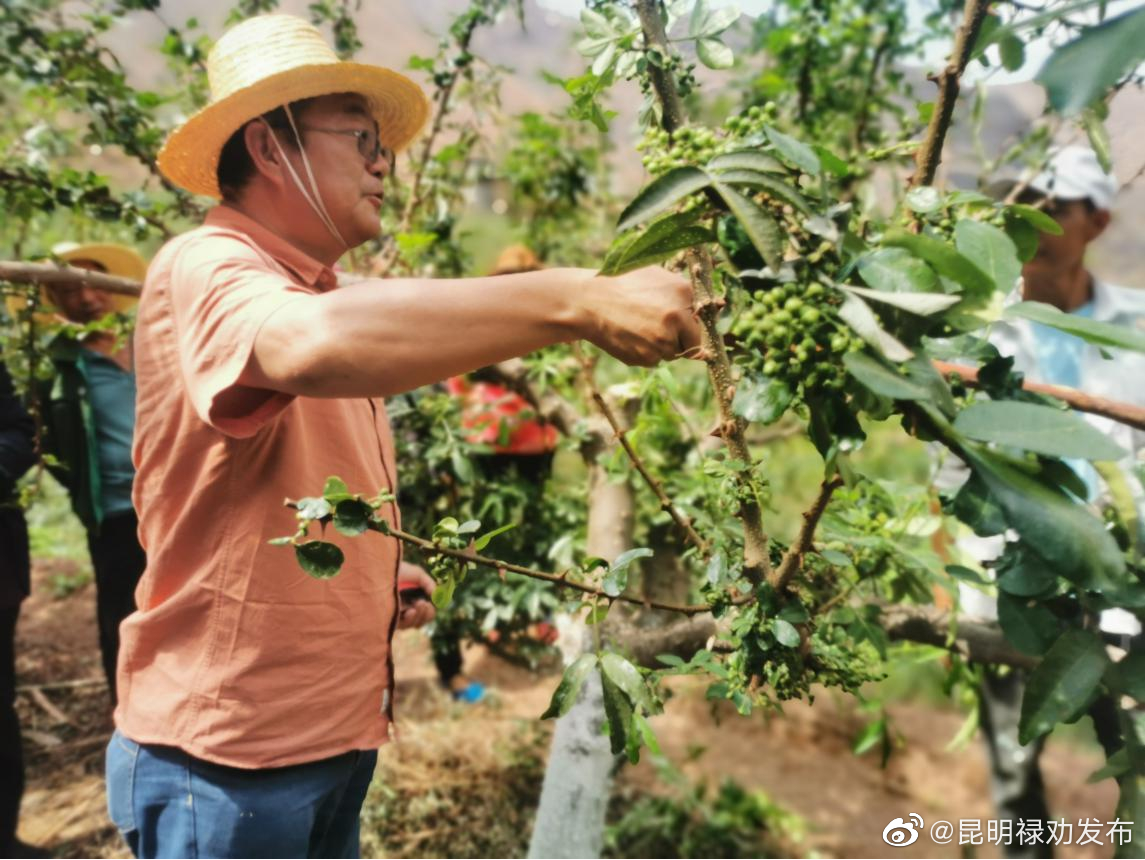 昆明禄劝发布