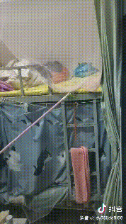 掌上春城