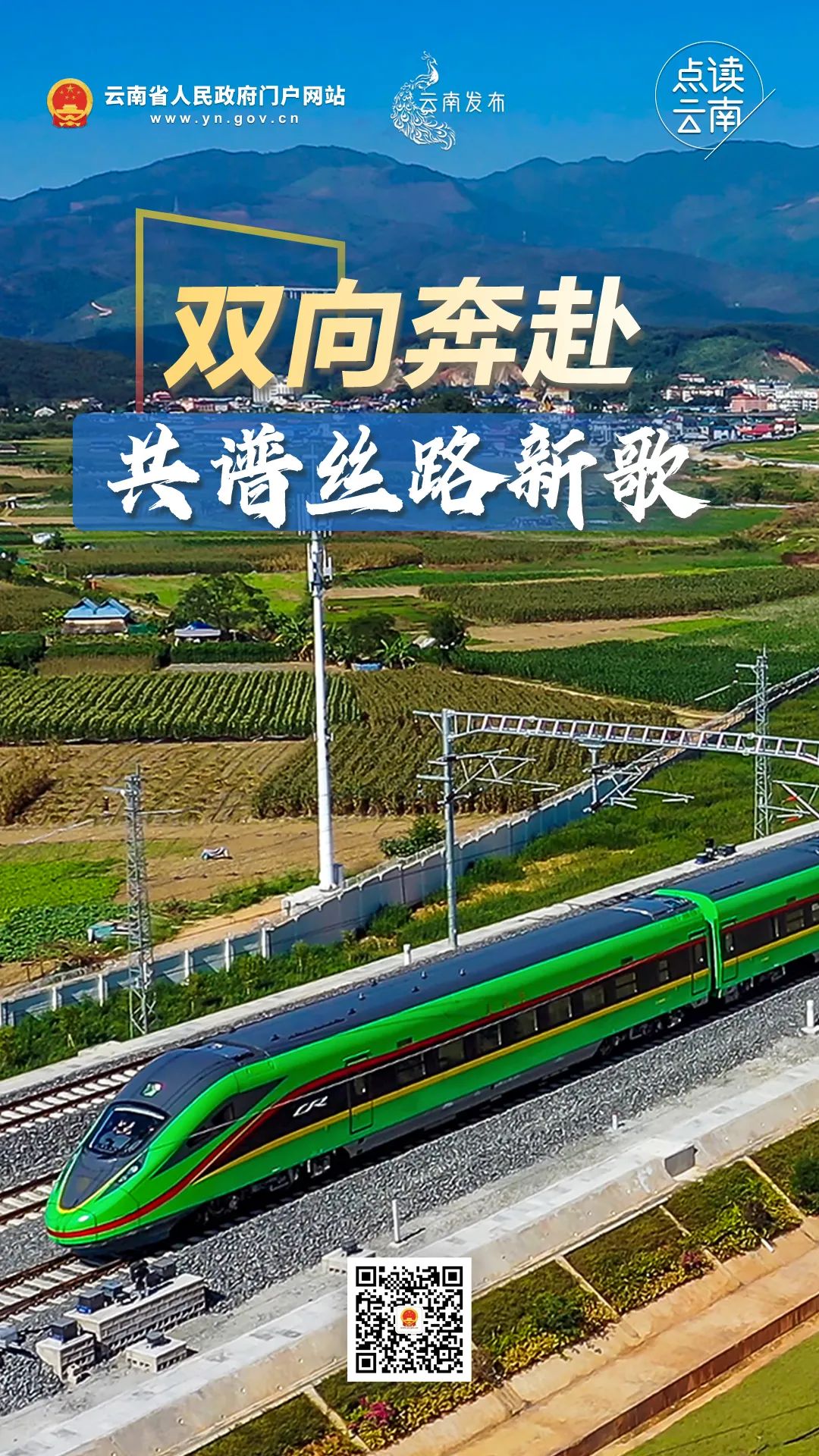 云南省人民政府网