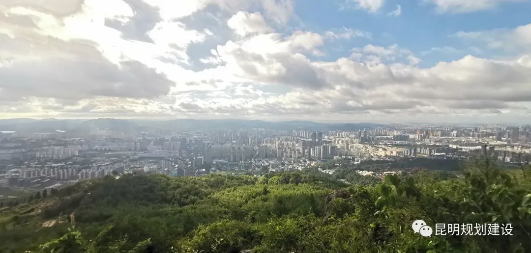 昆明信息港/cnkmxxg