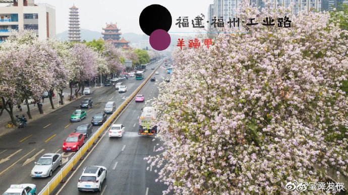 呈贡发布