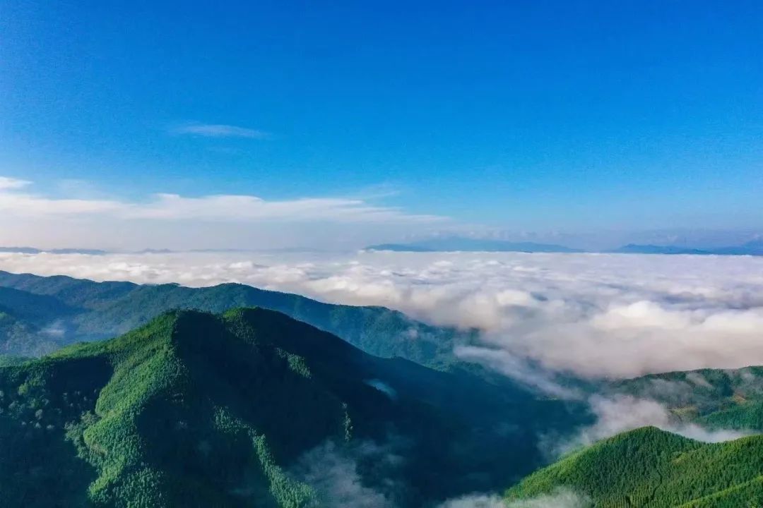 普洱日报