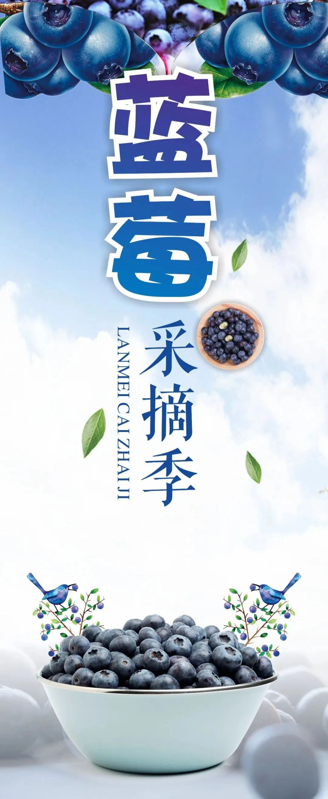 石林融媒