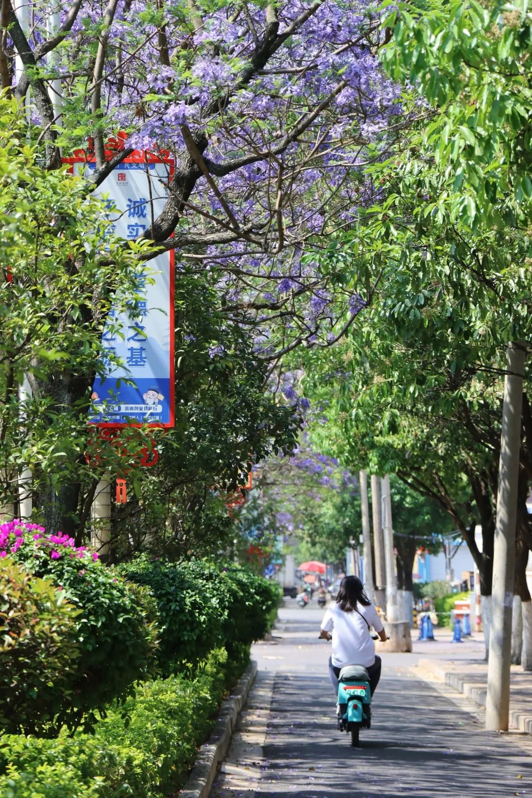 悦读嵩明