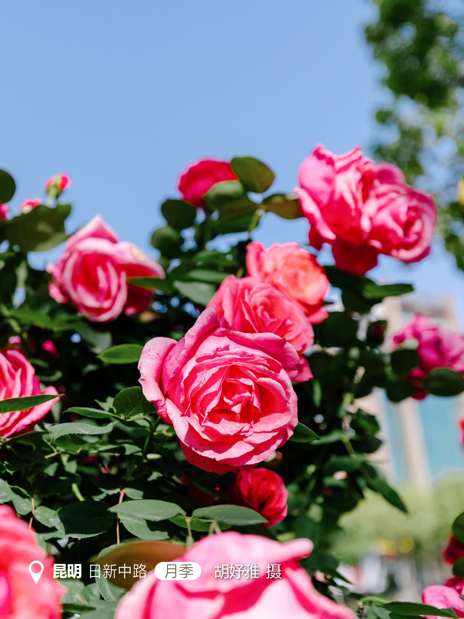 云南省文化和旅游厅