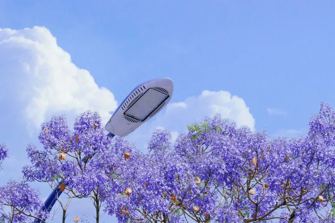 悦读嵩明