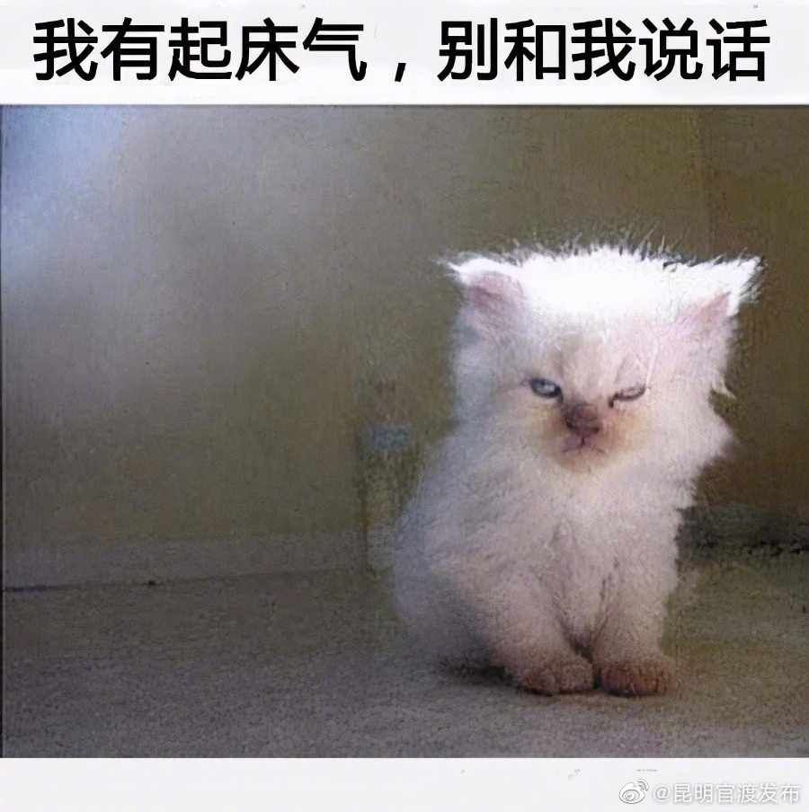 起床气到底从哪来？大脑启动了但又好像没有