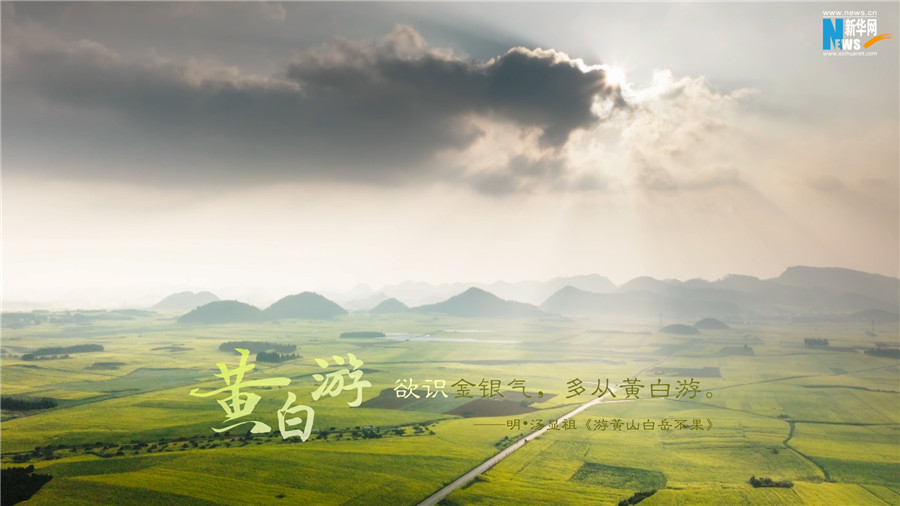 云南省文化和旅游厅