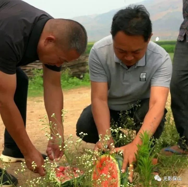 保山新闻网