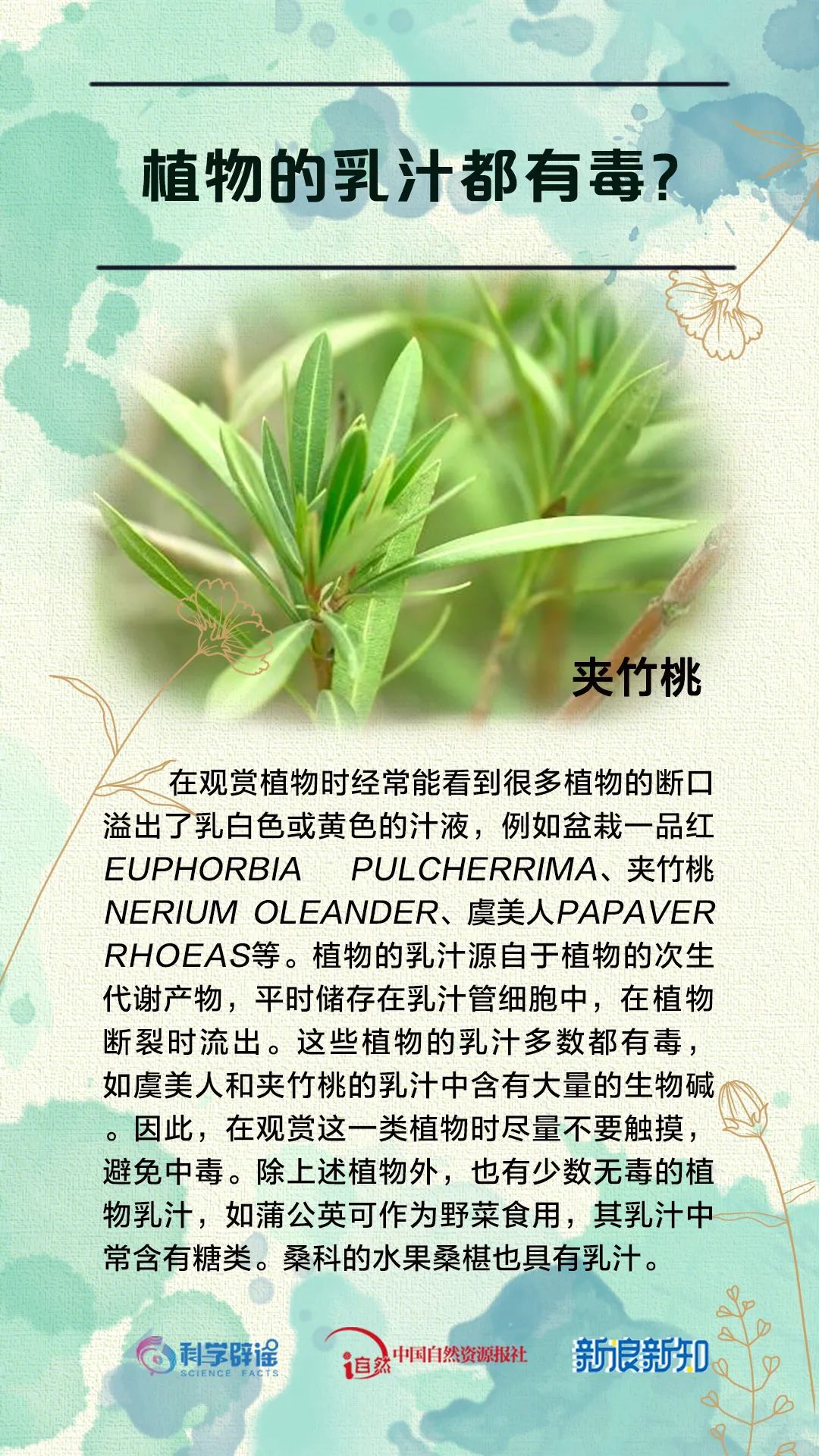 美丽云南微科普