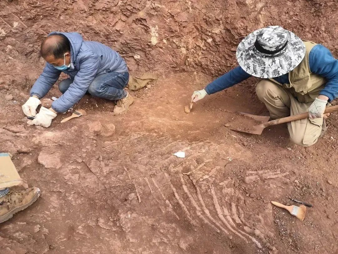 云南省文化和旅游厅