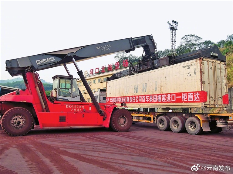 河口口岸进口榴莲实现集装箱“一柜直达”