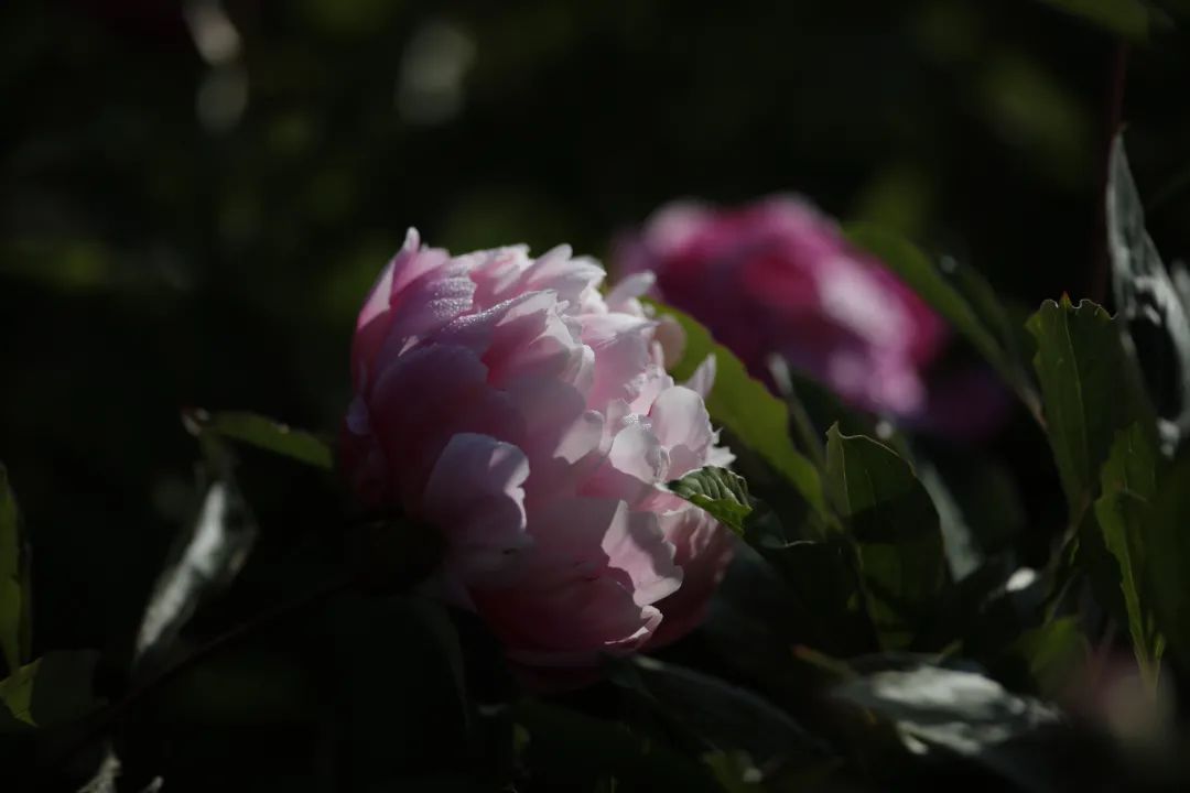 昆明阳宗海风景名胜区