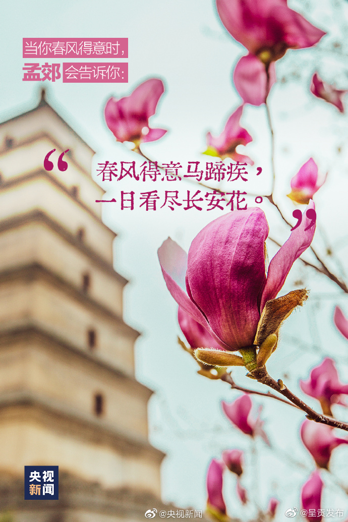 呈贡发布