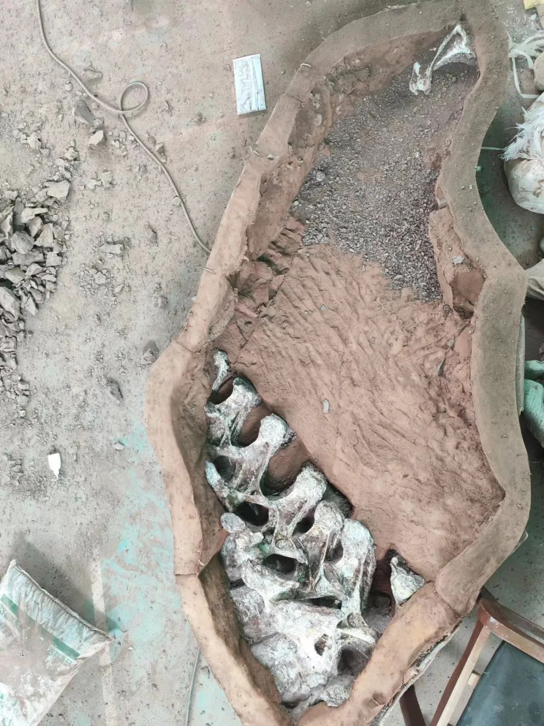 美丽云南微科普