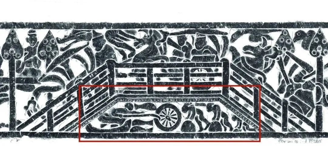 美丽云南微科普