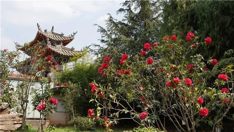 云南省文化和旅游厅