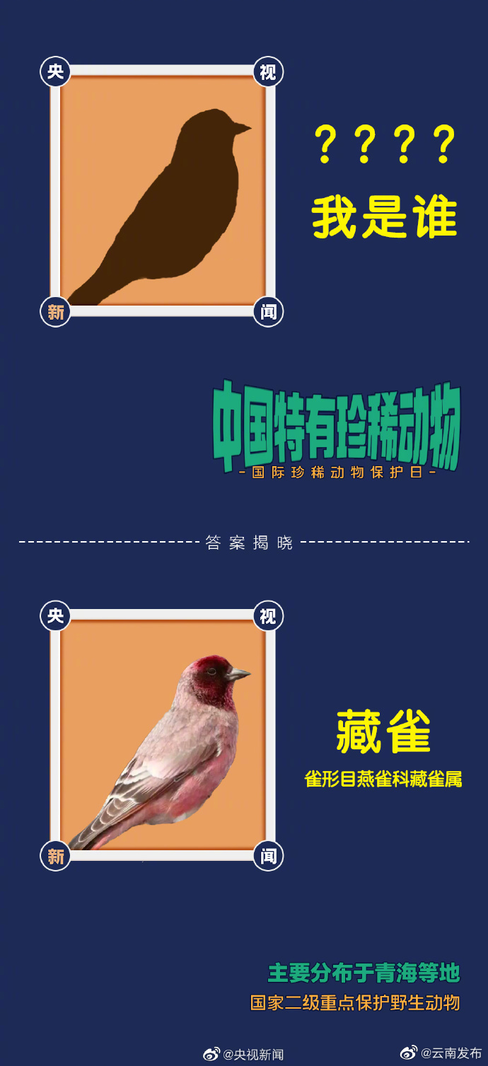 “云南发布”微博