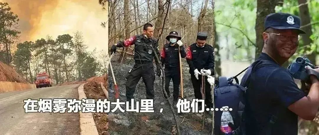 云南政法