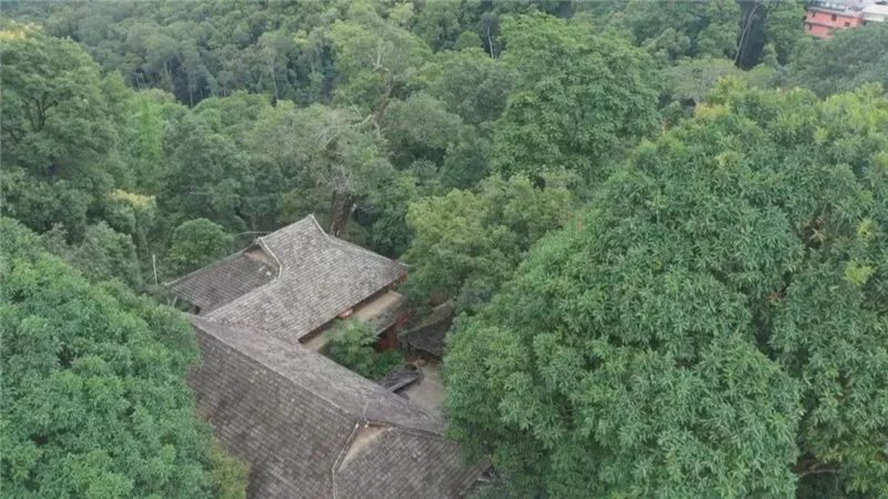 普洱日报