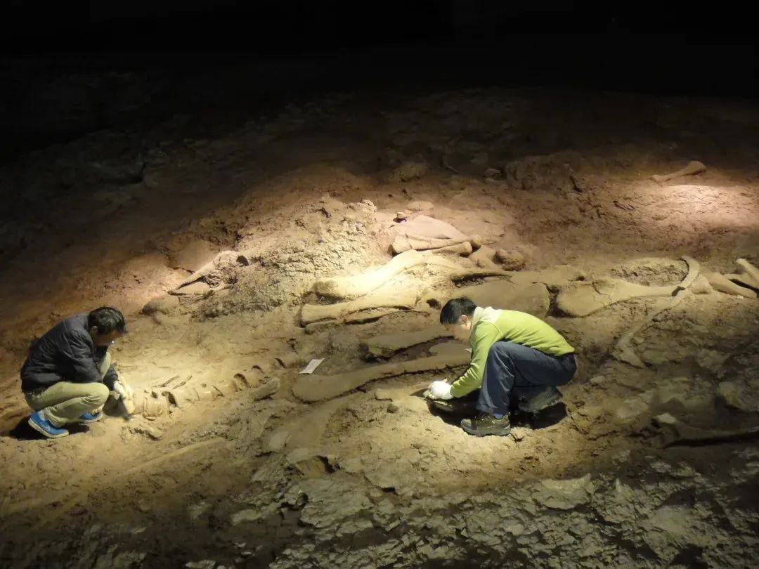 云南省文化和旅游厅