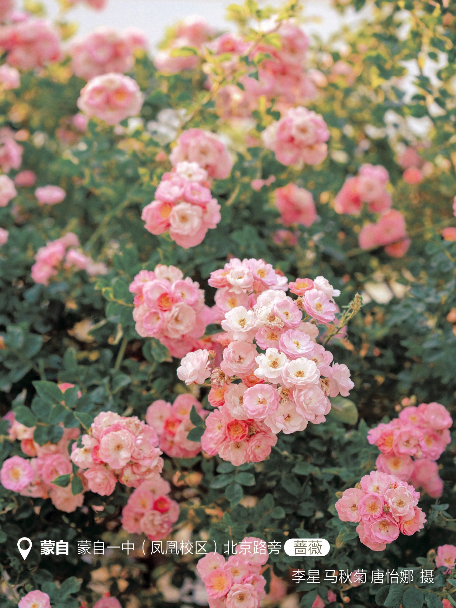 云南省文化和旅游厅