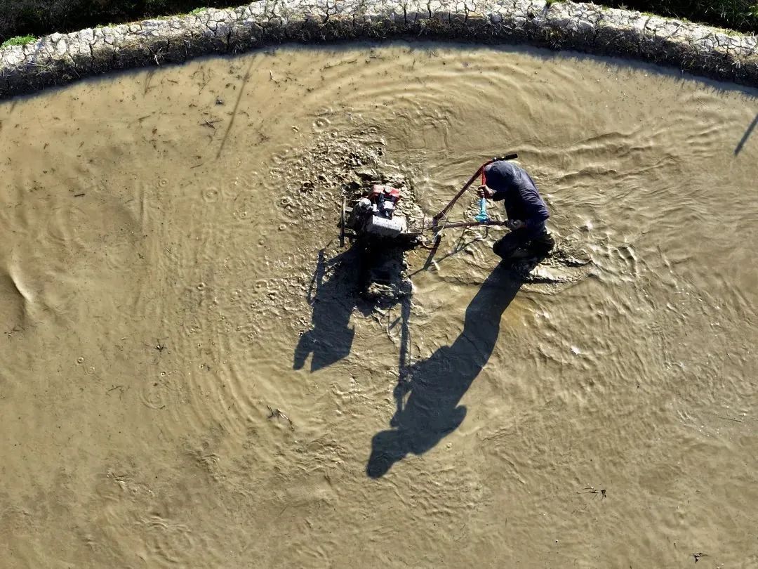 云南省文化和旅游厅