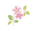 微观盘龙