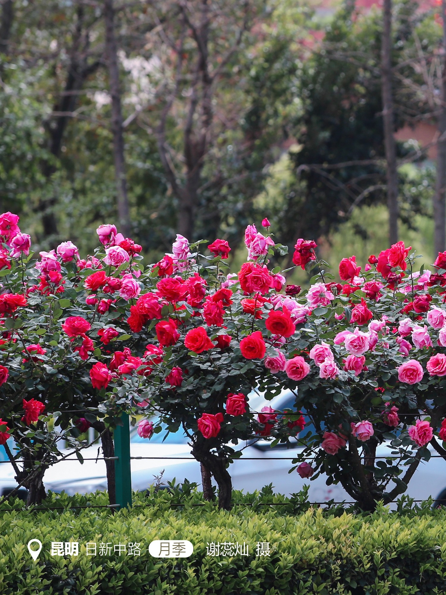 云南省文化和旅游厅