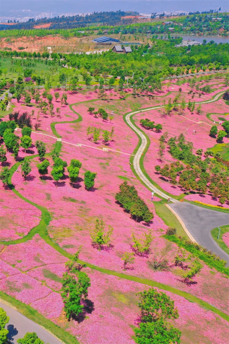 云南省文化和旅游厅