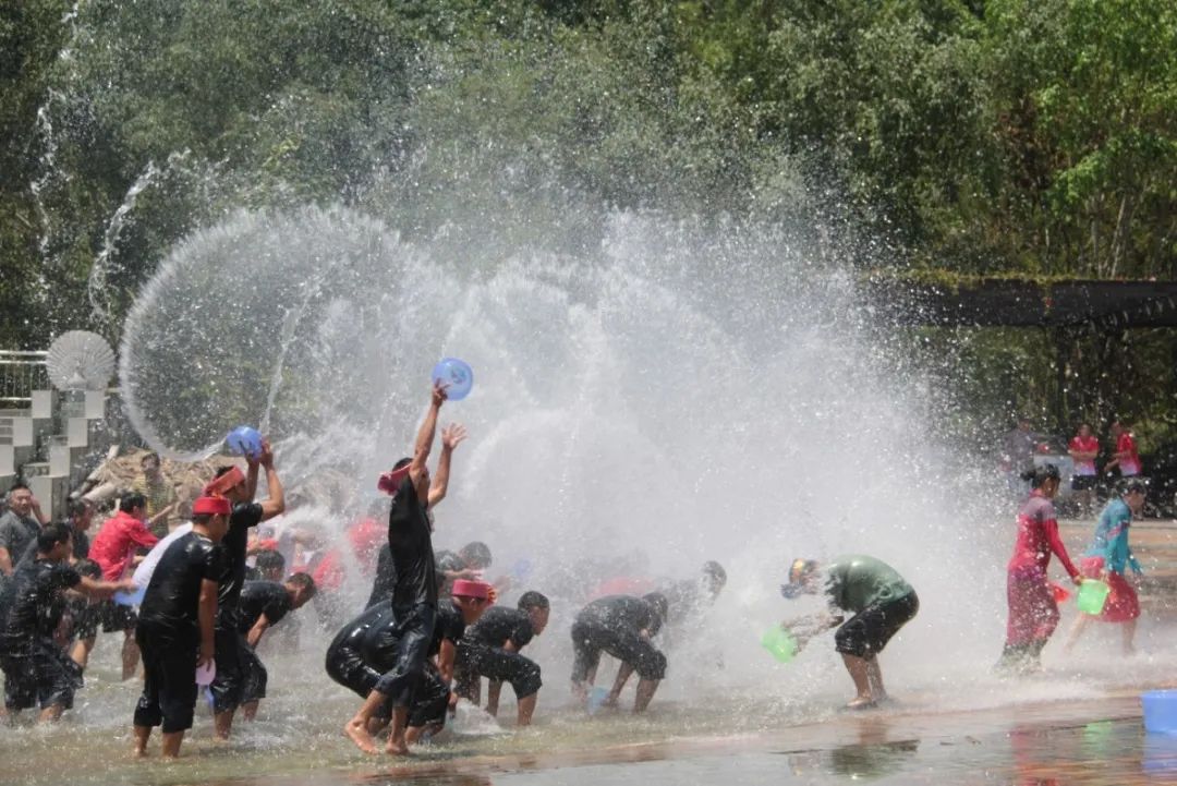 西双版纳望天树景区