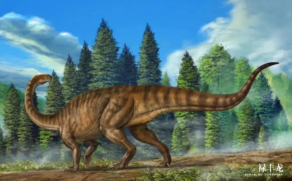 云南省文化和旅游厅