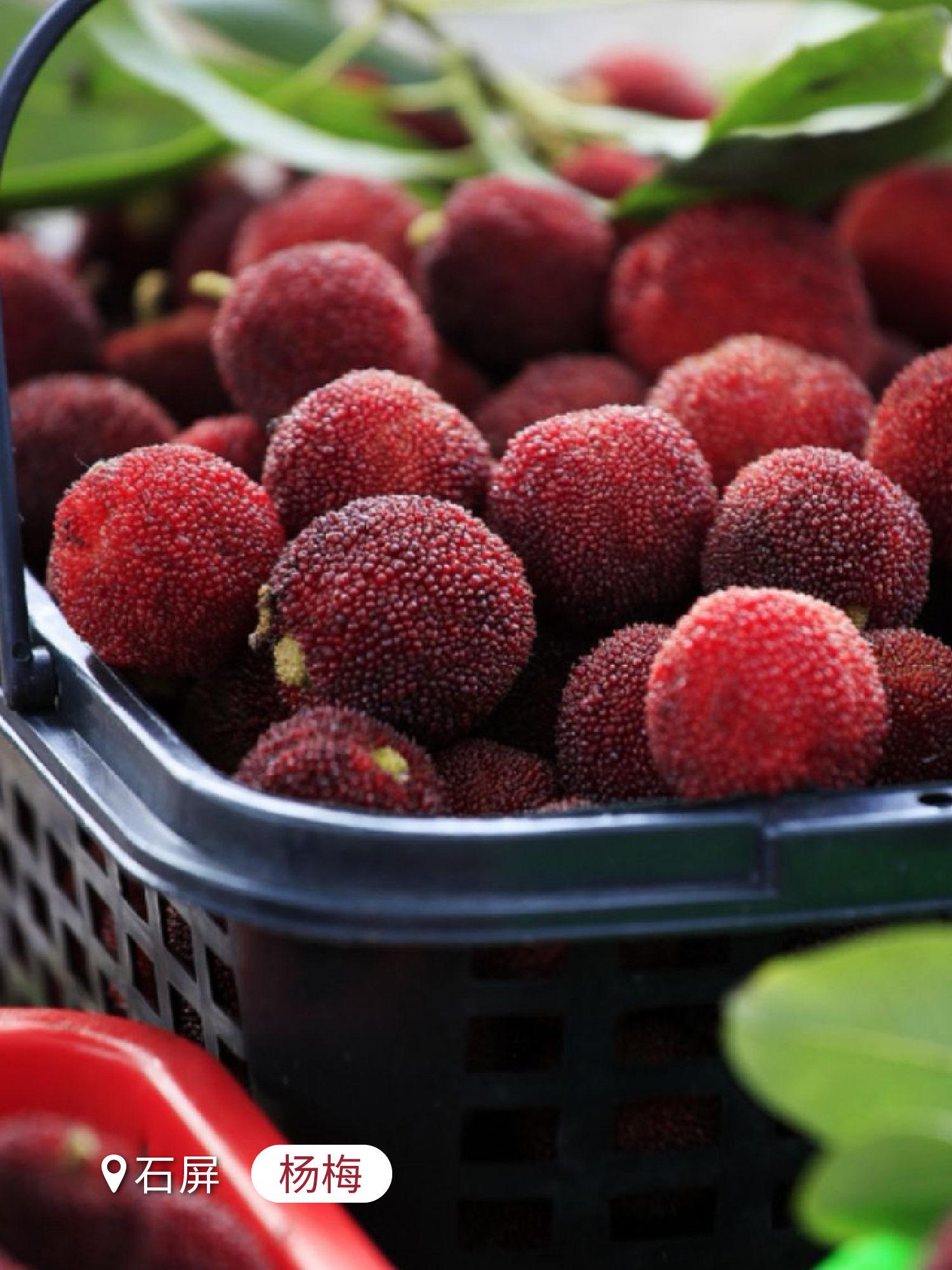 云南省文化和旅游厅