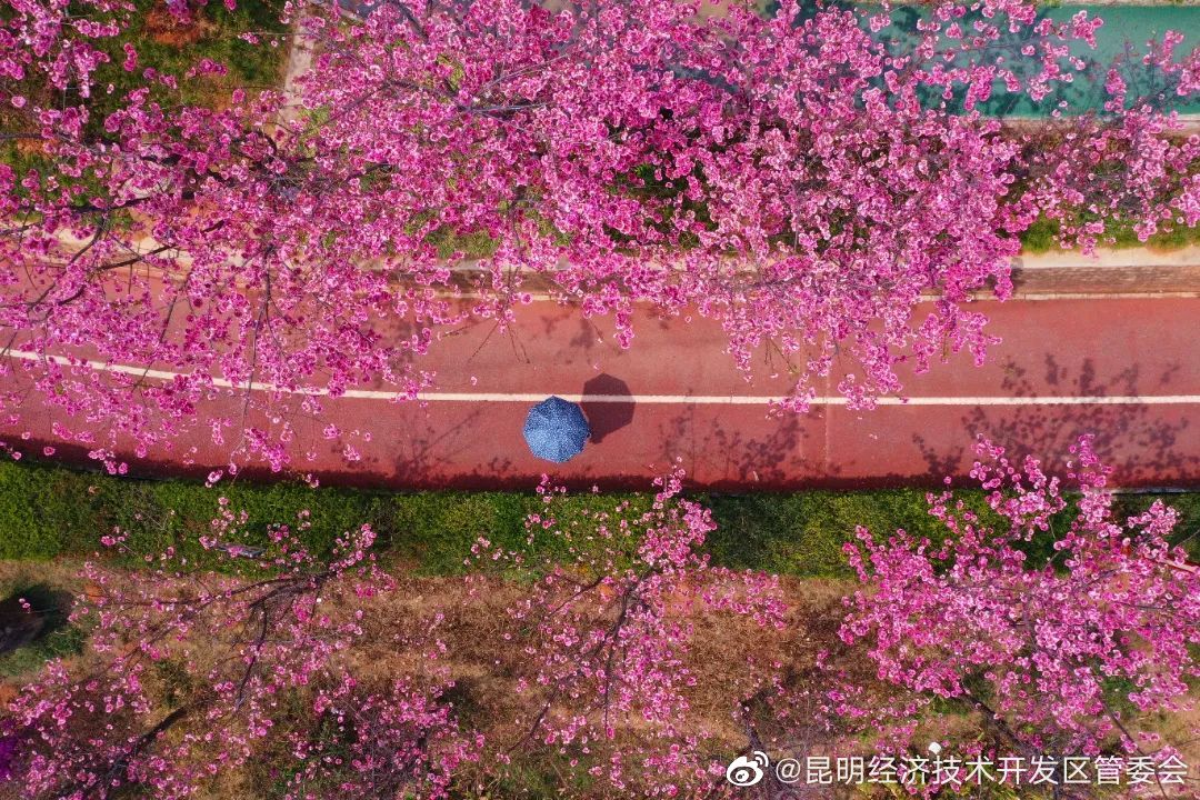 昆明经济技术开发区管委会